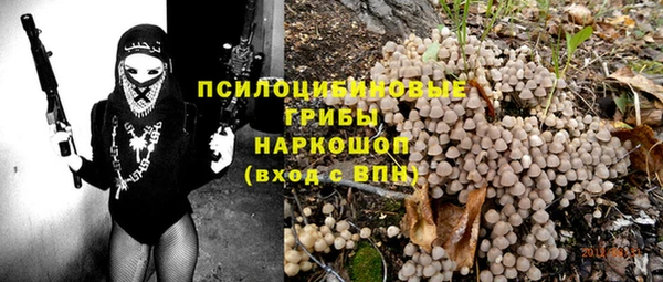 МДПВ Алзамай