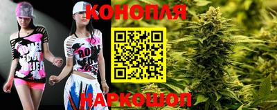 шишки Пугачёв