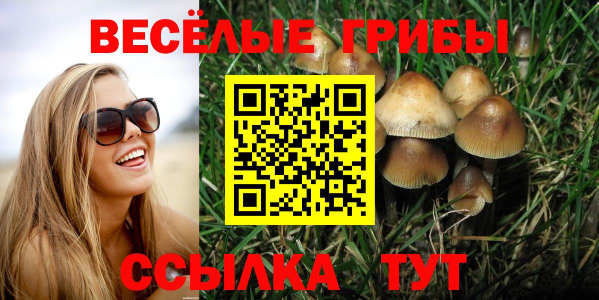 Псилоцибиновые грибы ЛСД Советская Гавань